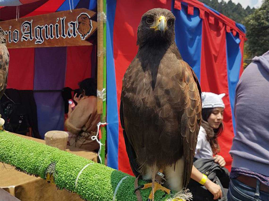 Fiesta mágica medieval con globos aerostáticos aguilas