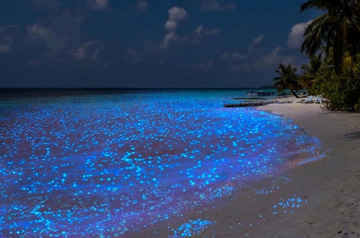 holbox-playa