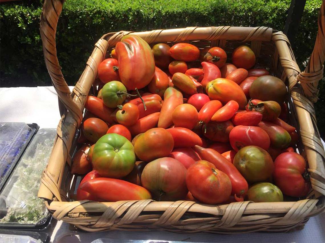 Guía de mercados orgánicos en CDMX ¡Pásele, marchante! 4