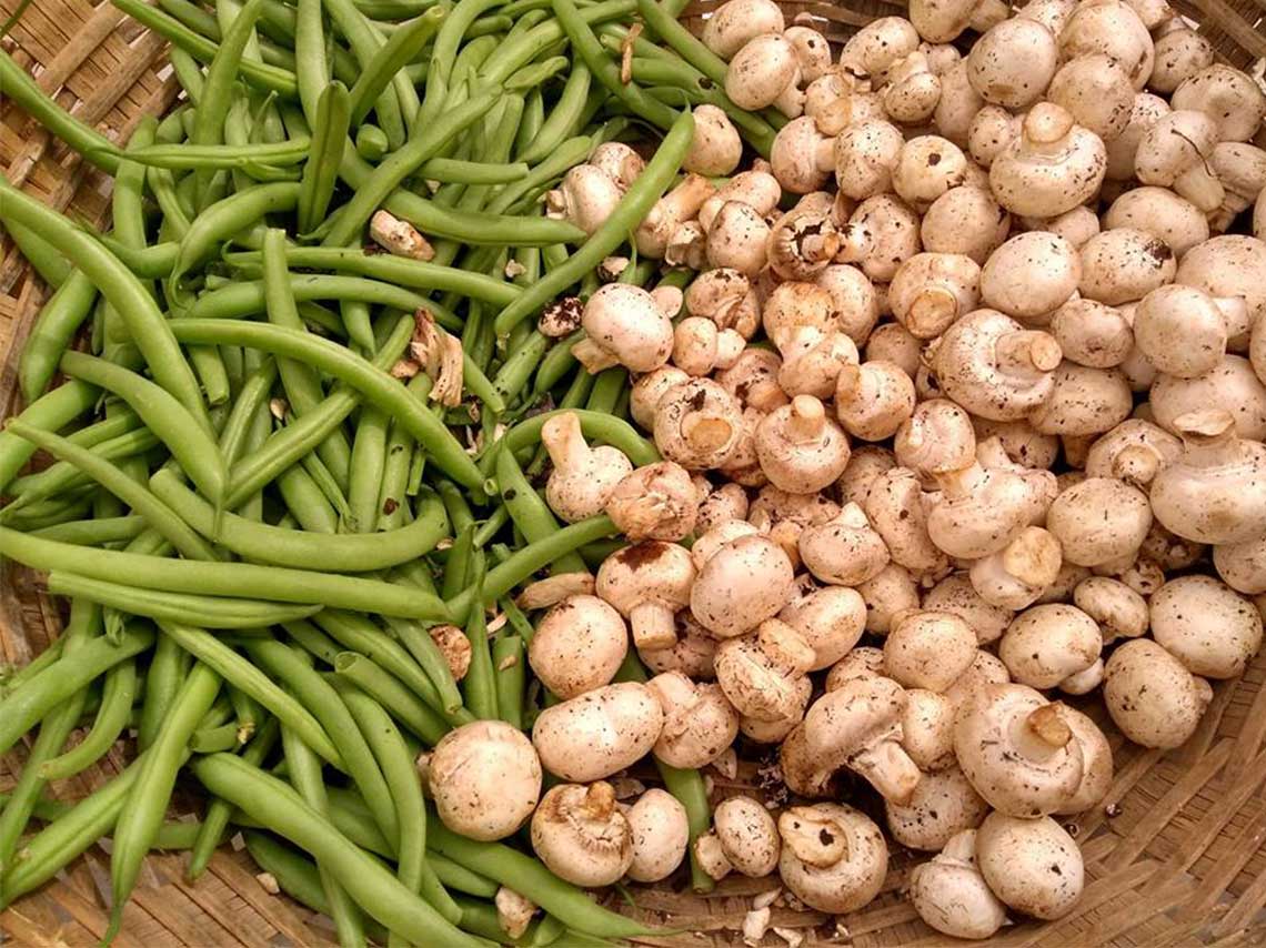 Mercados organicos en CDMX el bonito tianguis