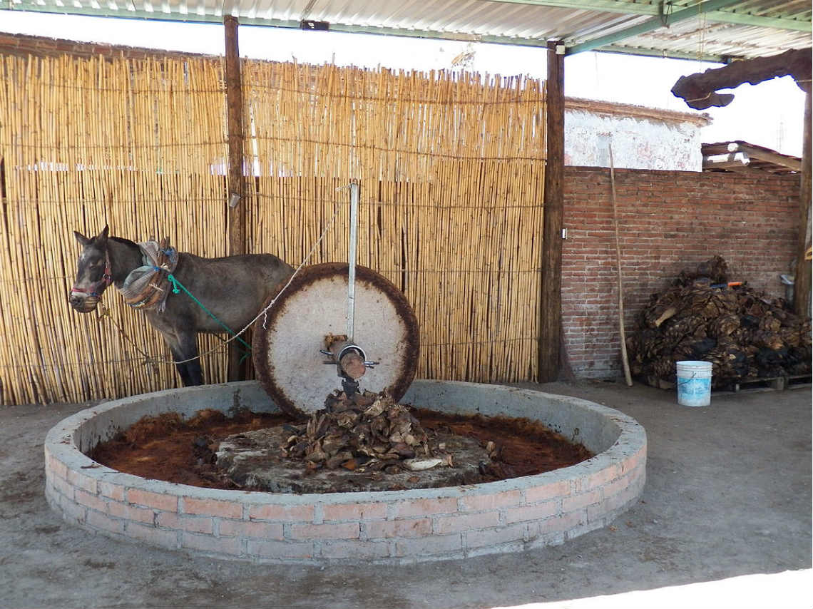 Curso en línea de elaboración de mezcales