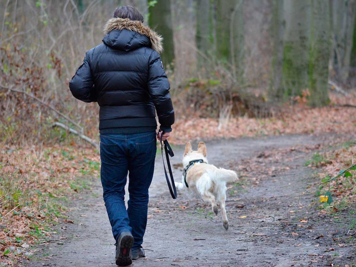 No te pierdas la 3ra carrera y caminata con mascota por CU perro corriendo con humano