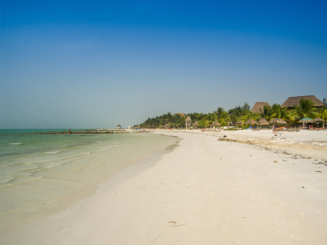 playa bioluminiscente de holbox