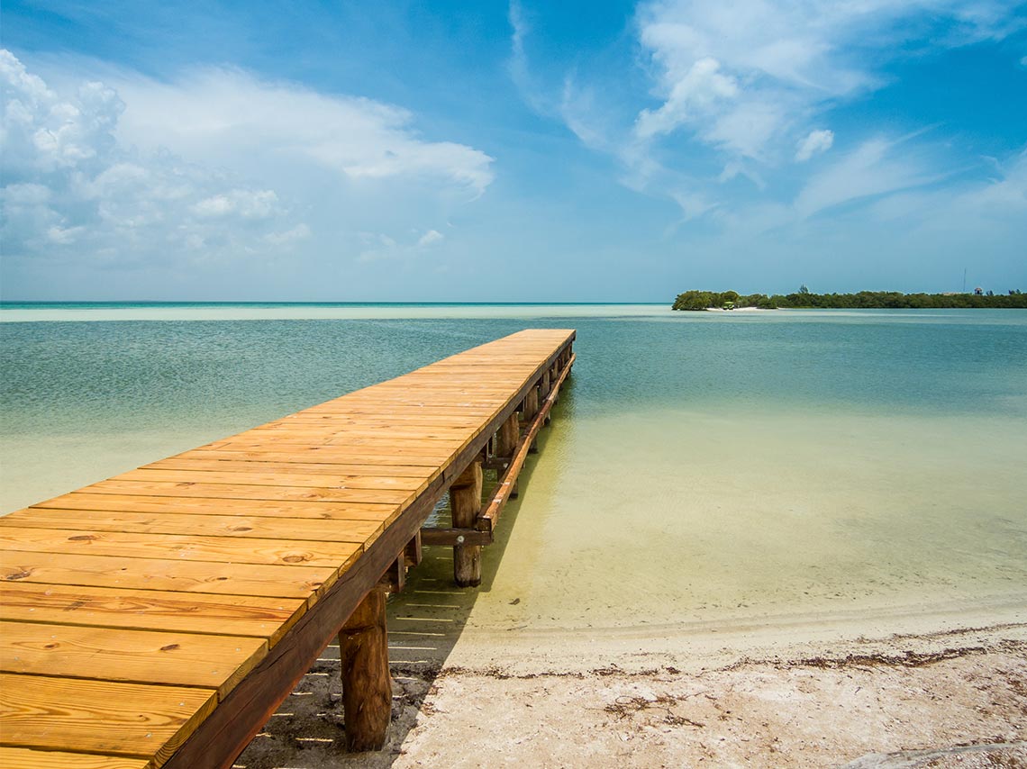 playa bioluminiscente de holbox