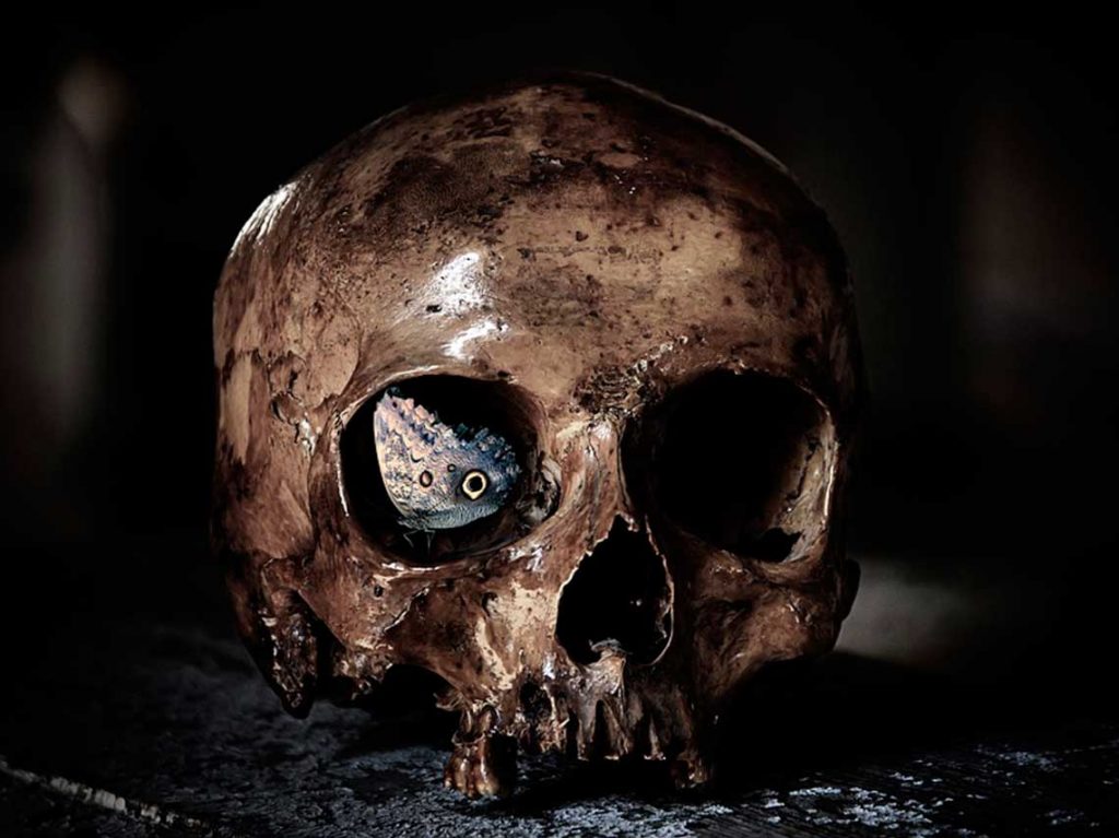 Escucha relatos fantasmales dentro del Museo del Miedo calavera