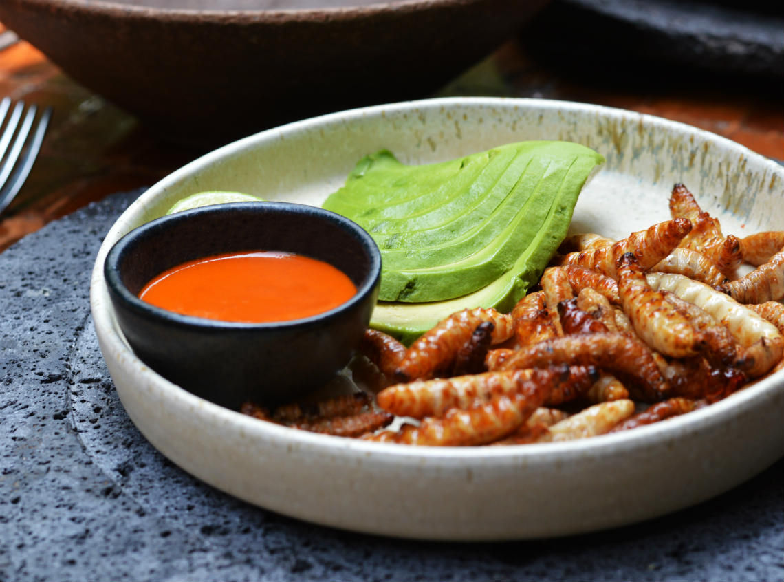 Tacos de gusanos de maguey en Los Danzantes