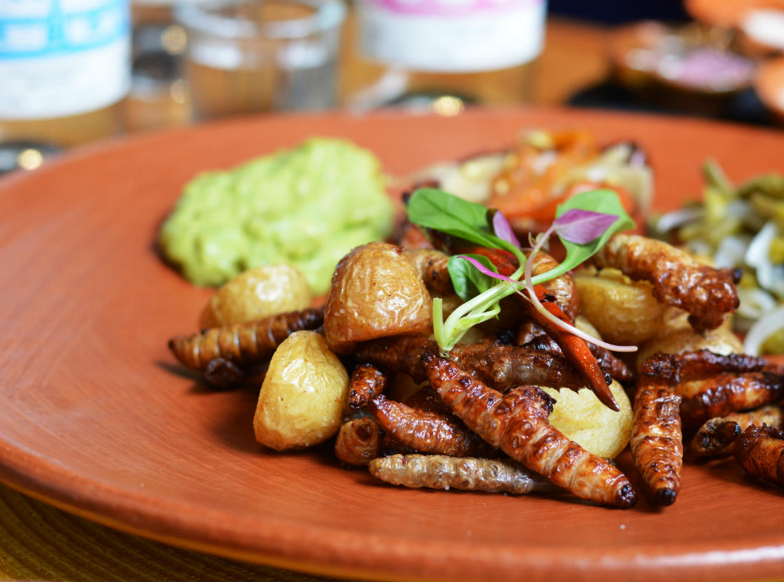 Temporada de Bichos, comida ancestral en Coyoacán