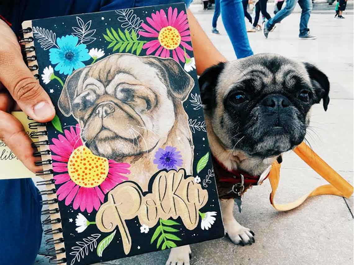 tribu-bazar-2018-libreta-de-pug