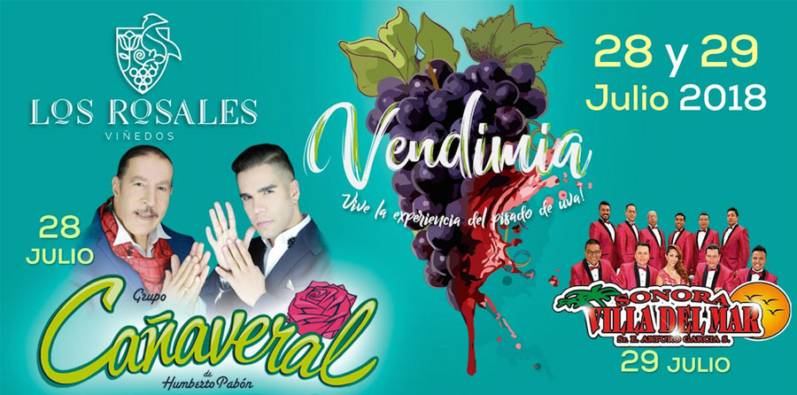 Llega la Fiesta de la Vendimia 2018: ¡prepárate para pisar uvas!