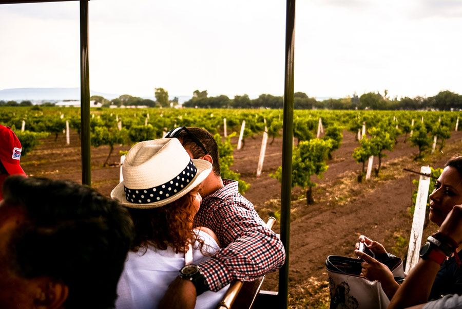 Llega la Fiesta de la Vendimia 2018: ¡prepárate para pisar uvas!