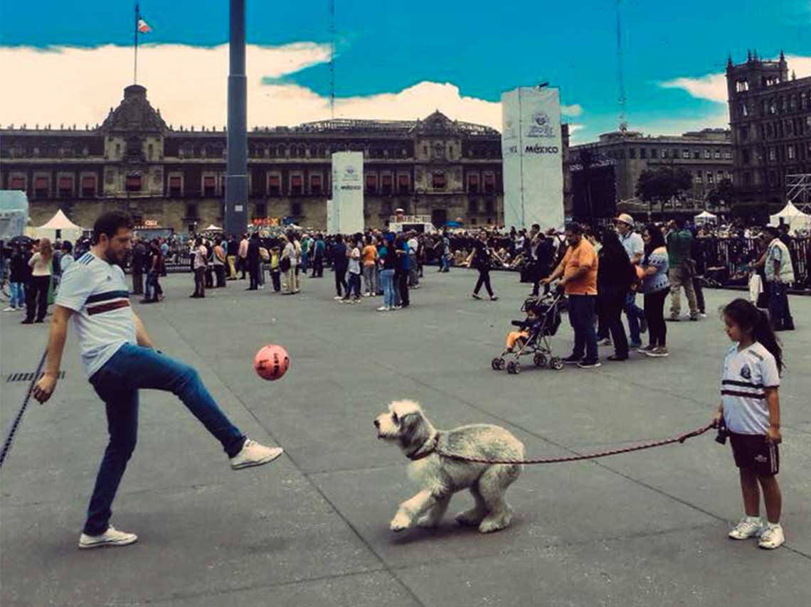 Fan Fest de Rusia 2018 en el Zócalo con foodtrucks perro jugando