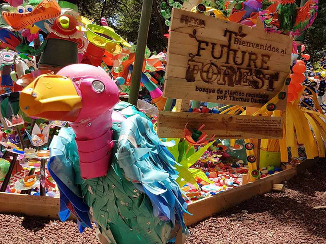 Conoce el jardín de objetos reciclados en el Jardín Botánico: El Future Forest