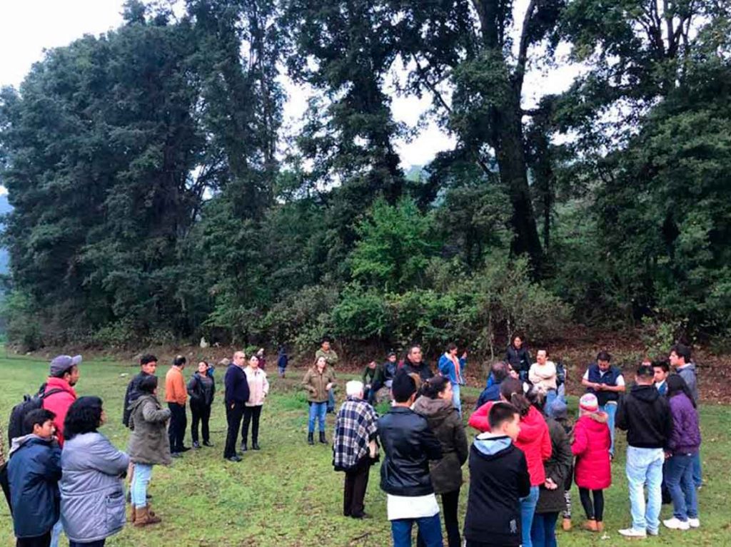 conoce-el-nuevo-mirador-de-luciernagas-en-michoacan bosque de dia