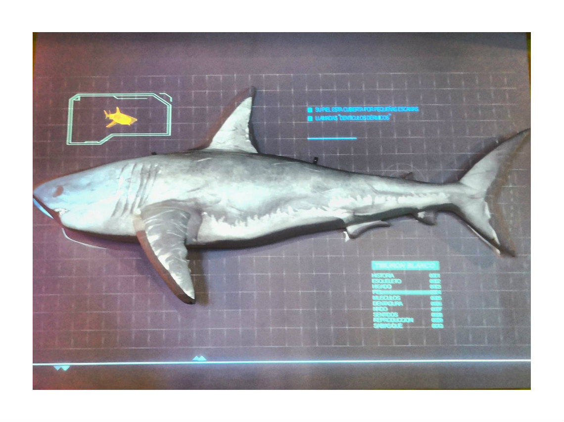 acuario-interactivo-en-cdmx-pez