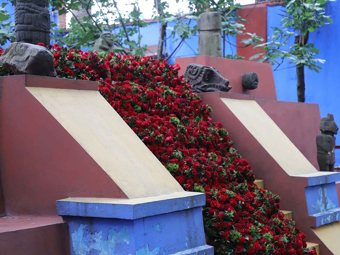 Jardín de la Casa Azul es intervenido con flores para celebrar a Frida 0