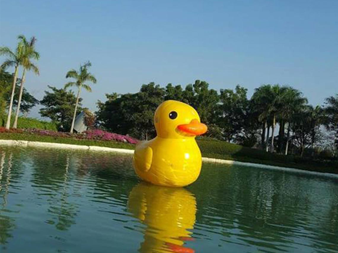 Festival Nacional del Globo en los Jardines de México 2018 patito