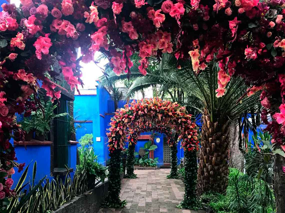jardin-de-la-casa-azul-es-intervenido-con-flores-arcos