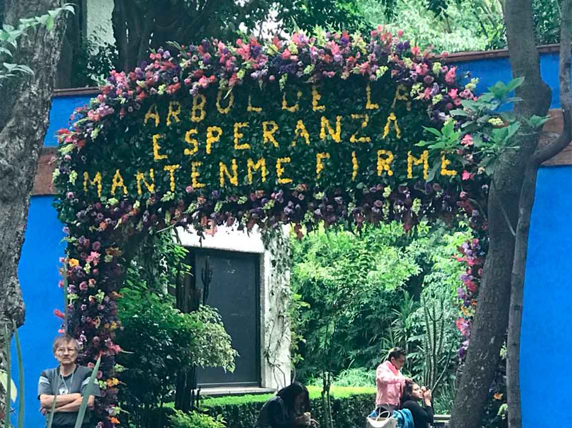 jardin-de-la-casa-azul-es-intervenido-con-flores-frase