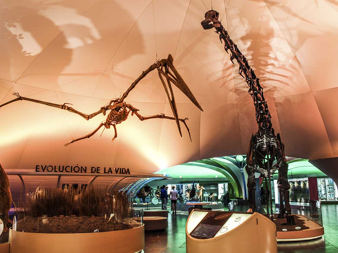 Museo de Historia Natural, un tesoro de Chapultepec 1