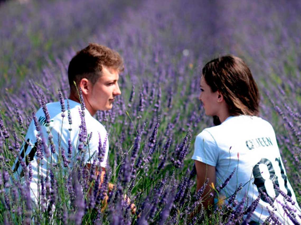 Viajes para solteros por cantinas de Hidalgo campo de lavanda