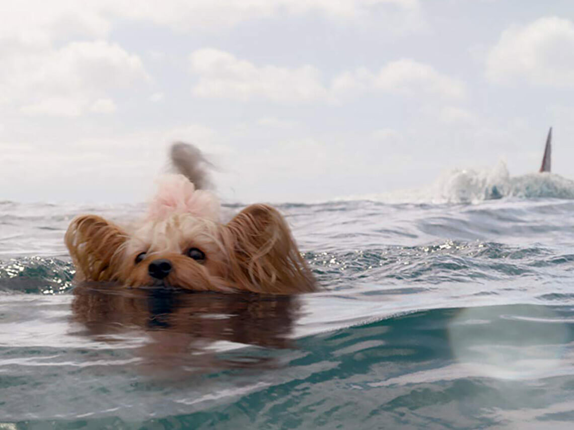 Megalodon-The-Meg-Critica-lo-bueno-lo-malo-tiburon-buzo-steve-alten-2018-pelicula-comedia-perro-dog