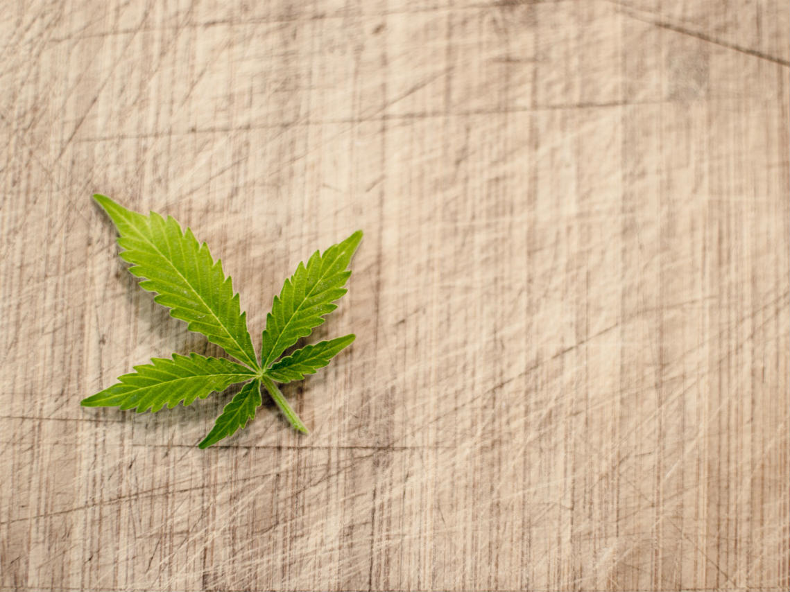 cooked-create-aprende-sobre-la-marihuana-gratis