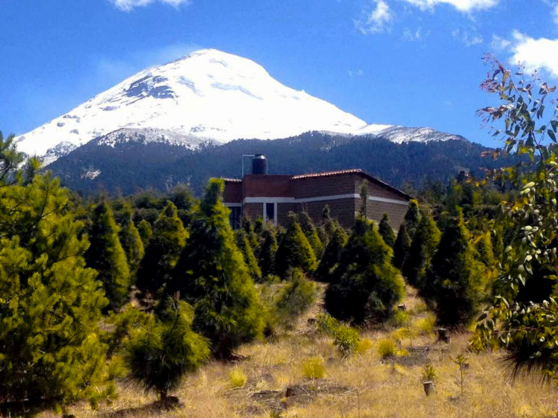 Electronic camping festival 2018: música electrónica, pulque y más en los volcanes Popocatépetl e Iztaccíhuatl