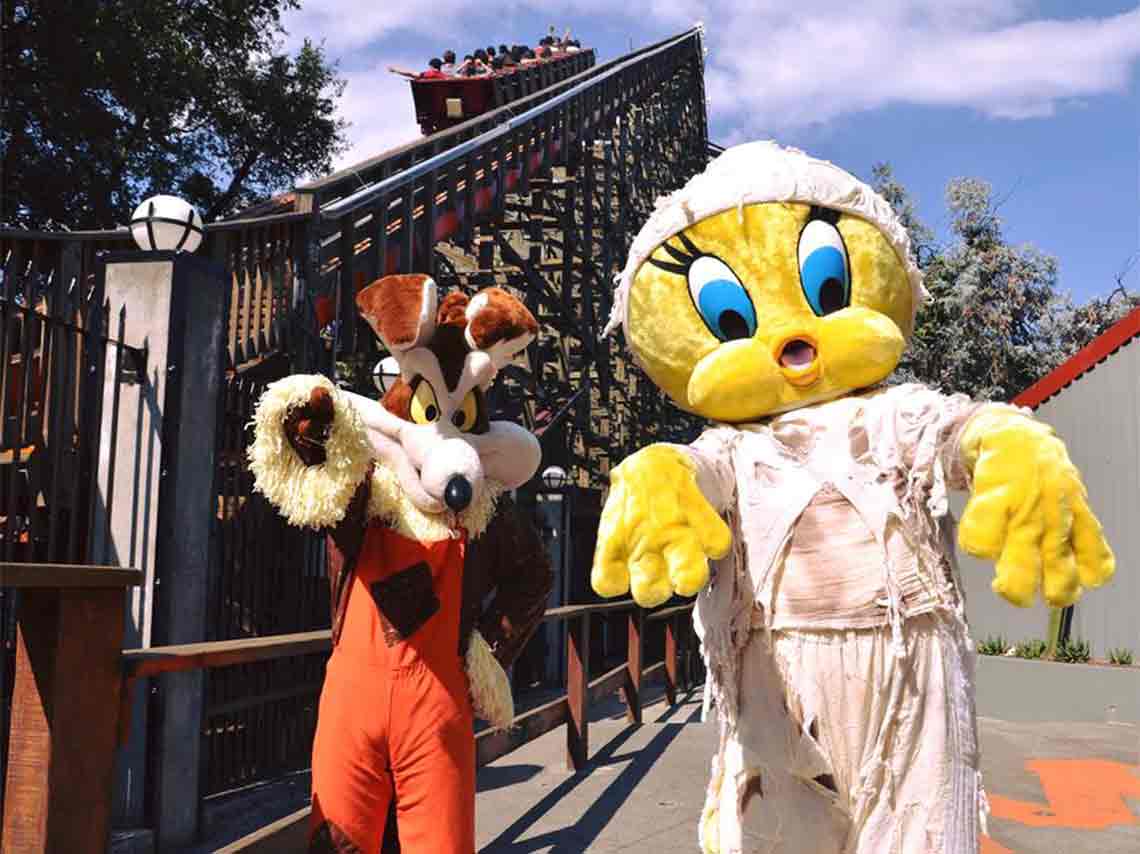 Festival de Terror de Six Flags 2018 piolin z