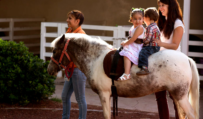 Pony en Granja las Américas