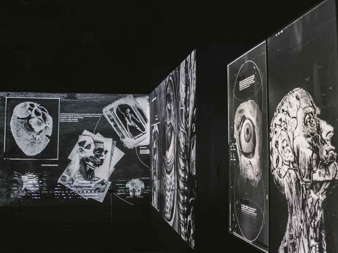 Expo “A Capite Ad Calcem”: Experiencia multimedia del cuerpo humano