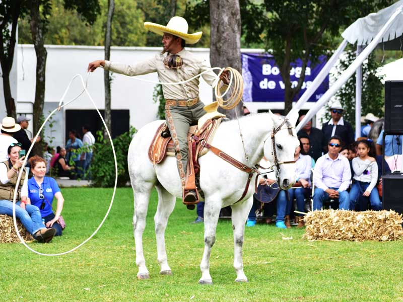 Maridando México 2018: un homenaje al vino nacional 2