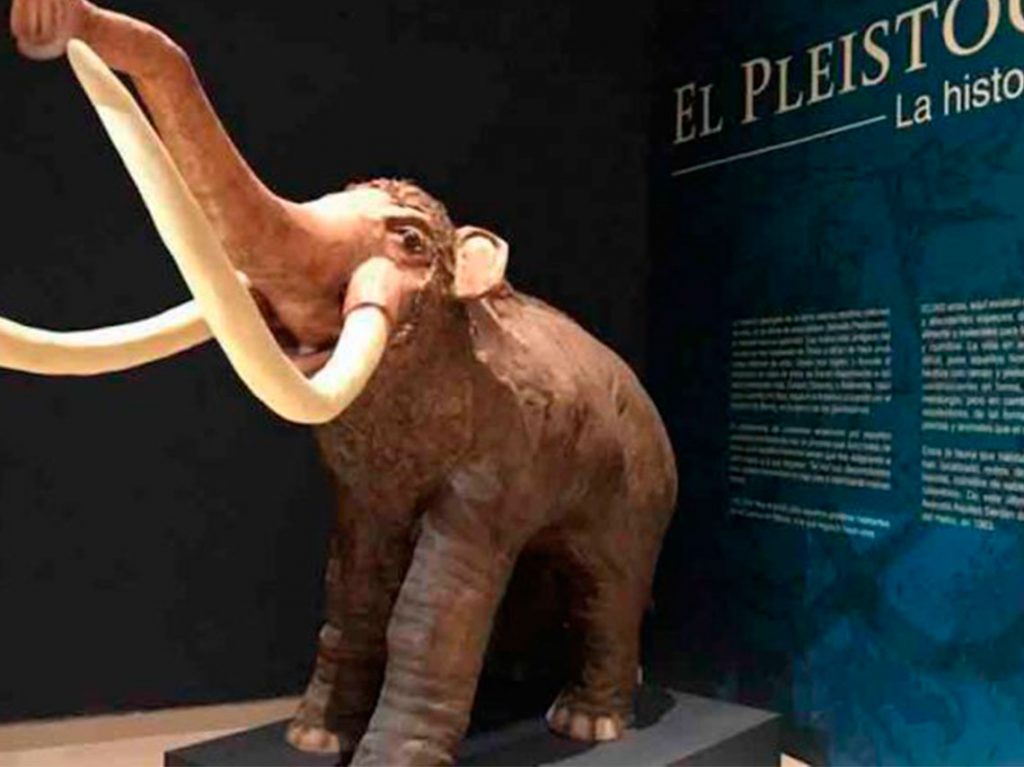 Conoce el nuevo Museo de Azcapotzalco elefante