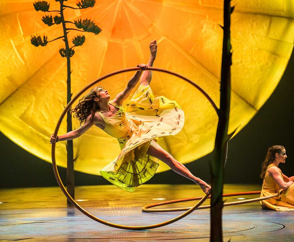 Luzia, de Cirque du Soleil: el espectáculo de luz y lluvia ¡está por llegar a CDMX!