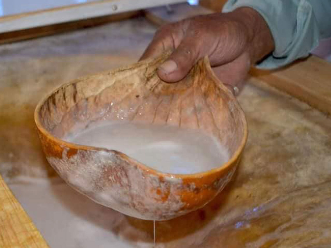 Tour nocturno a la Isla de las Muñecas pulque