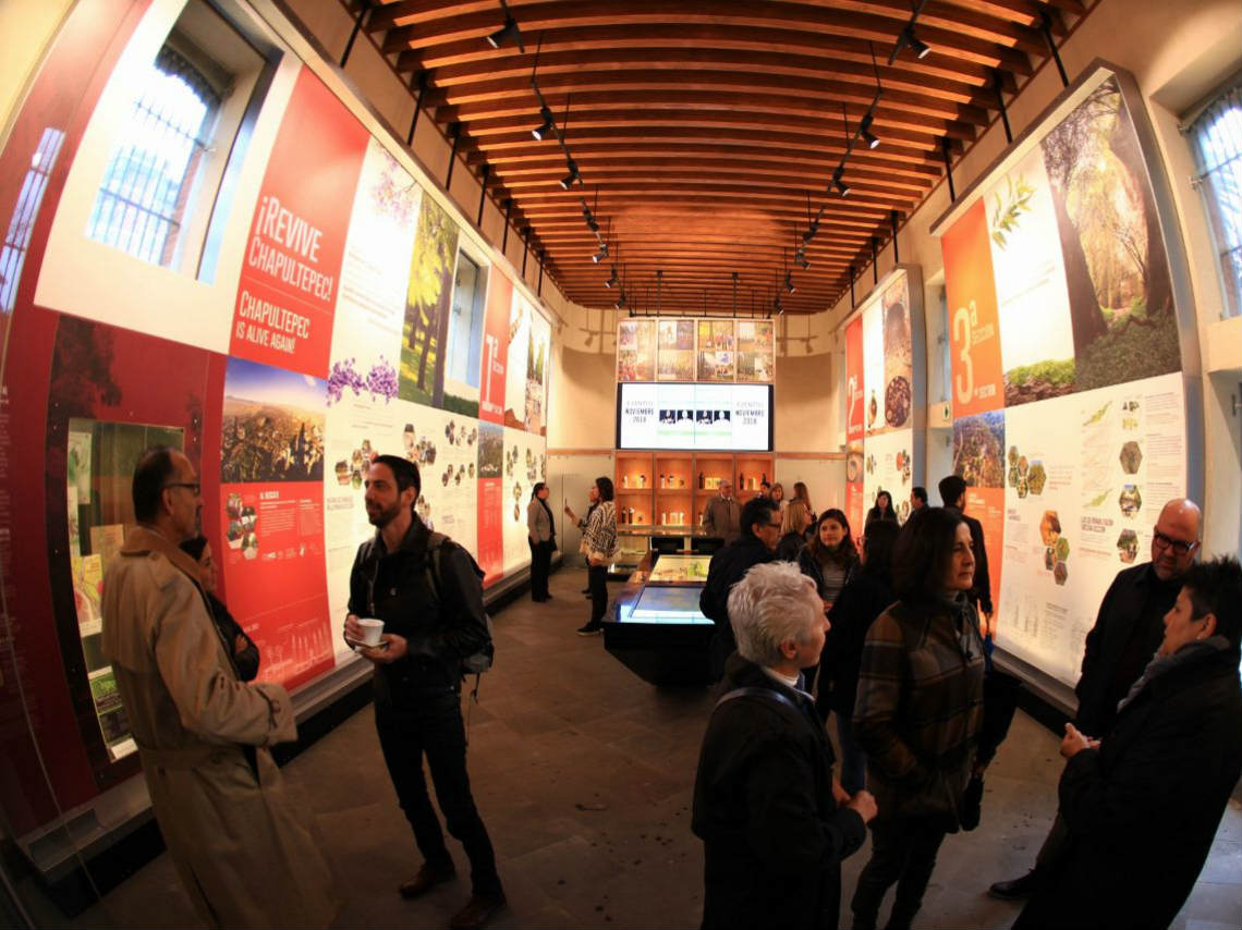 Conoce el Nuevo Museo en Chapultepec: ¡una joya arquitectónica del Bosque!