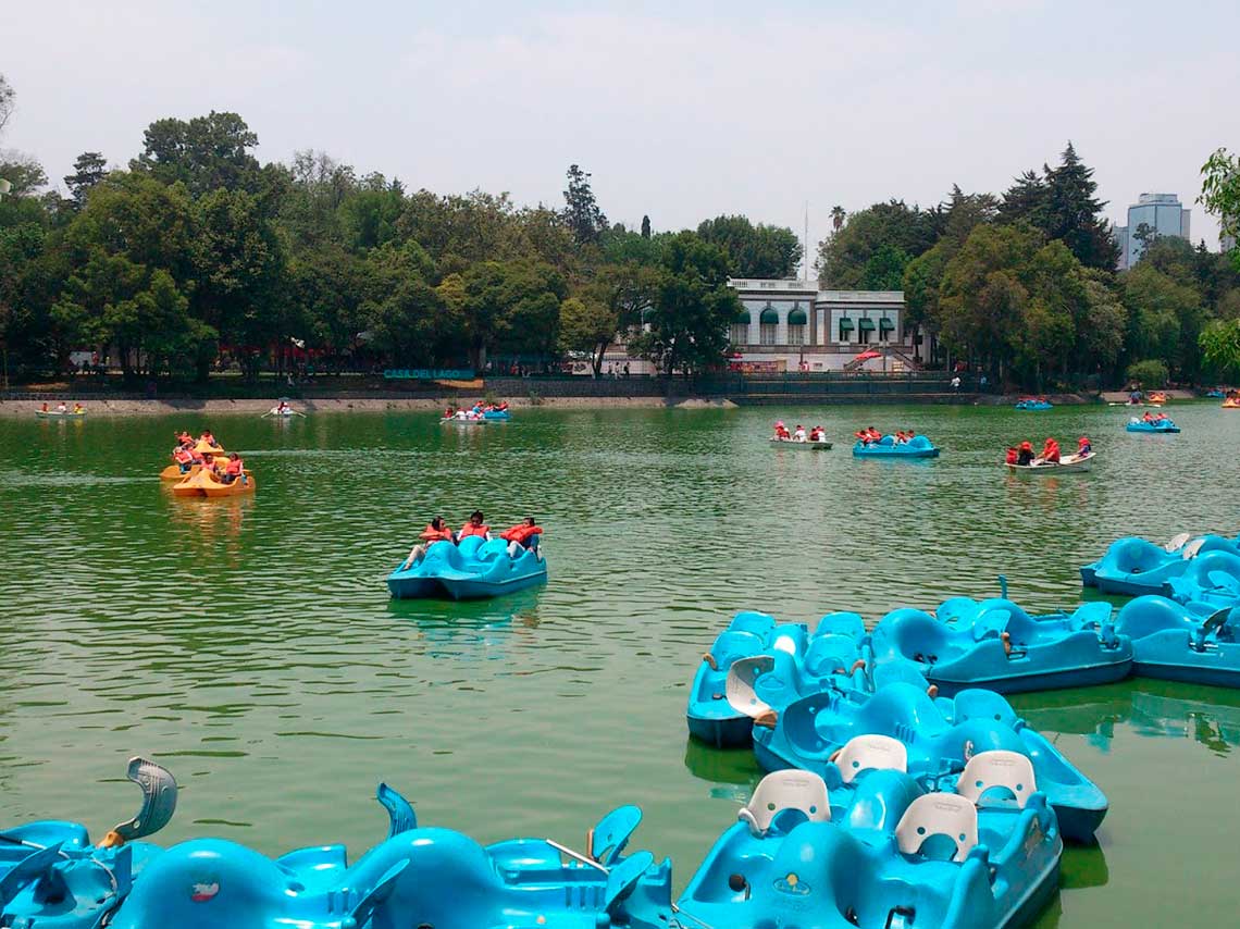 Festival del Bosque de Chapultepec 2018: lanchacinema