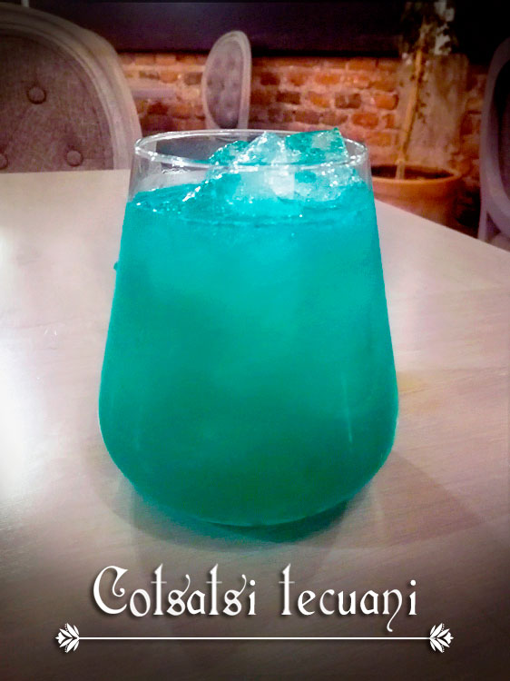Coctelería hechizante, platillos mágicos y la cura del mal de ojo están en este restaurante