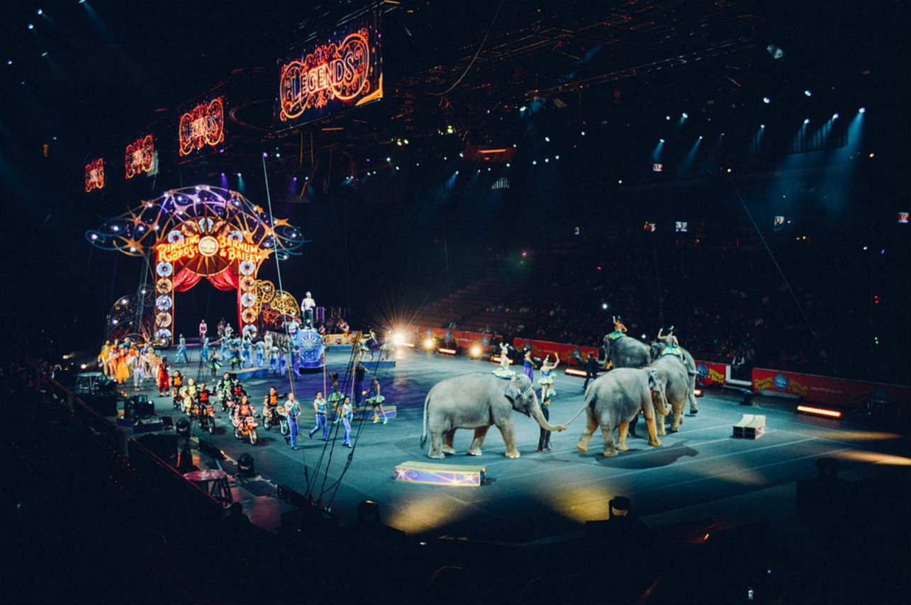 10 eventos navideños imperdibles circo
