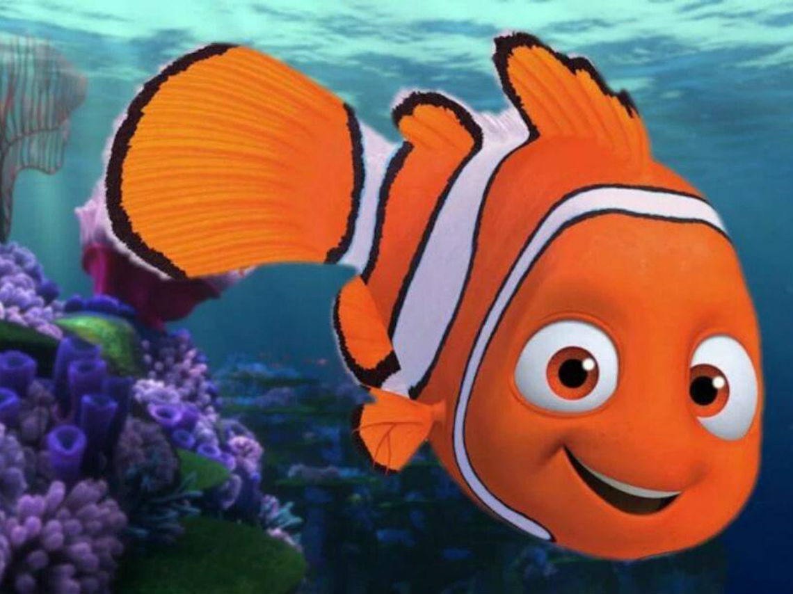 Películas y series que salen de Netflix en 2019: Buscando a Nemo