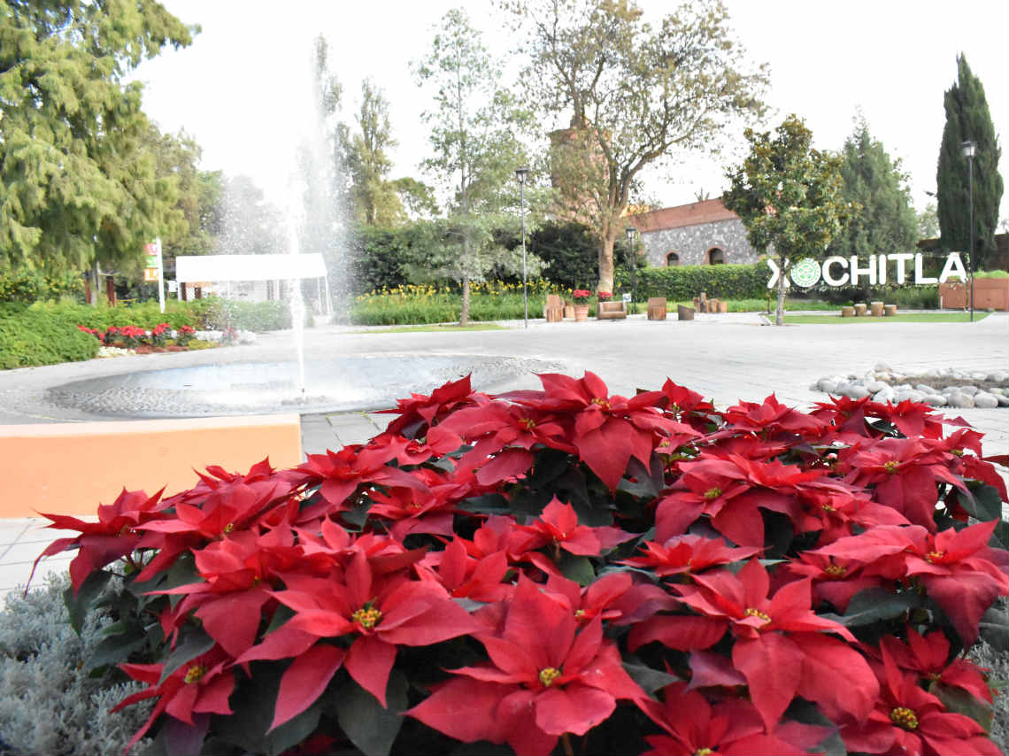 Vive la Navidad en Xochitla: posadas, picnic, pastorela y mucho más