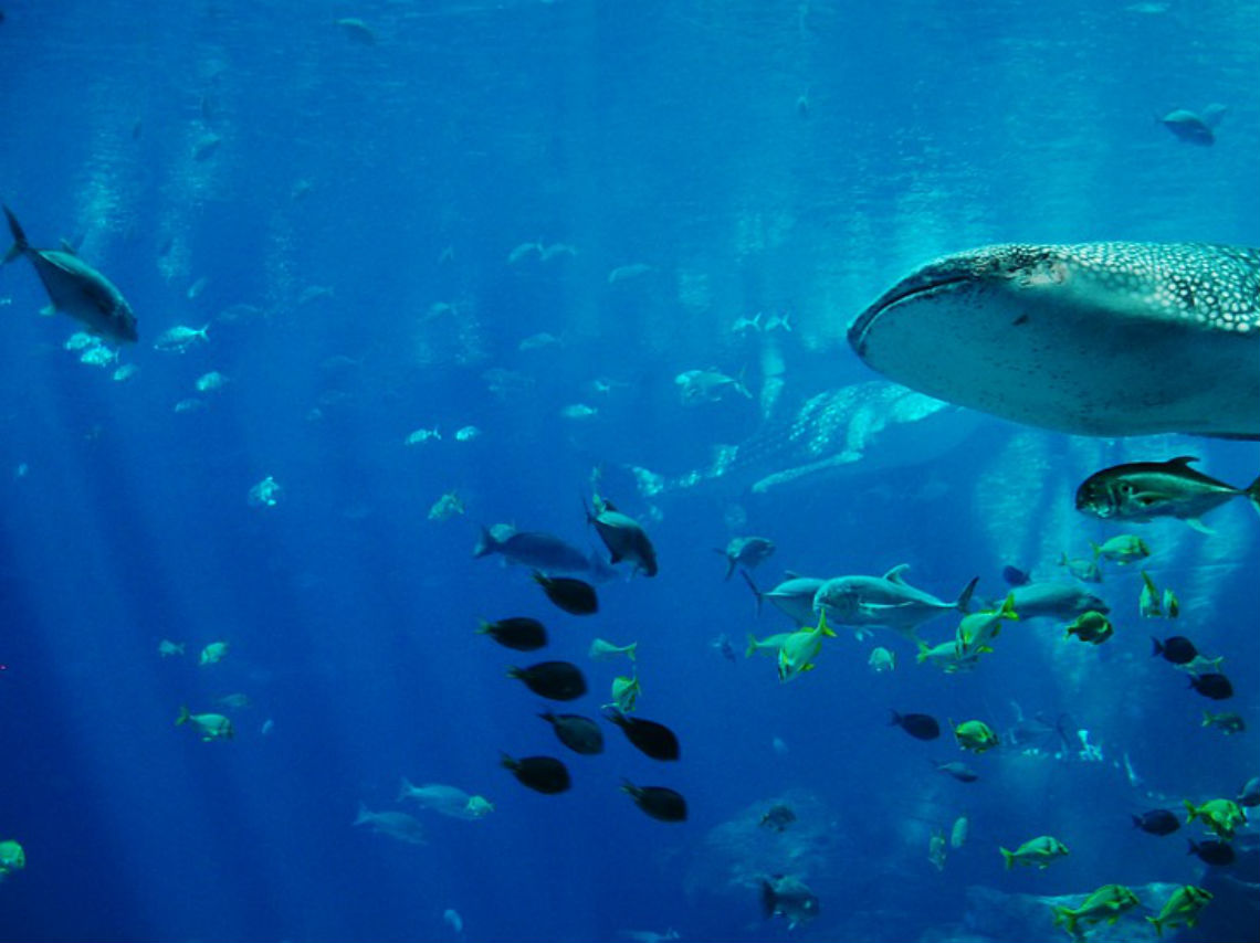 10 destinos imperdibles para viajar en 2019 acuario