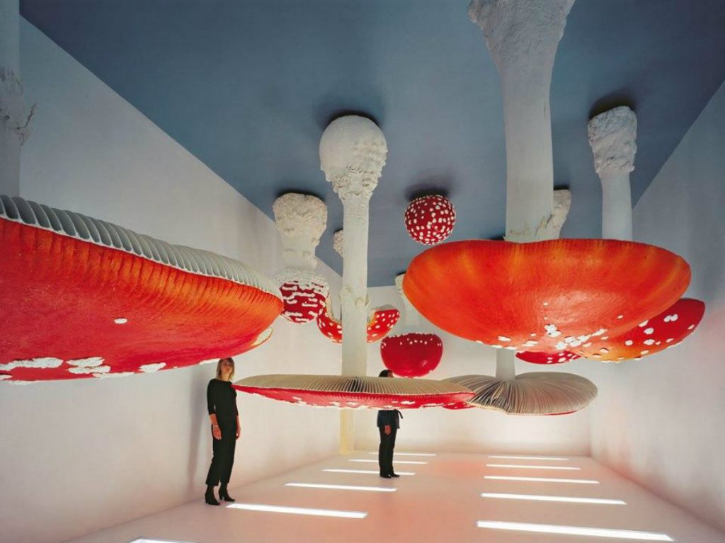 "Alucinaciones" de Carsten Höller llegará al Museo Tamayo en 2019