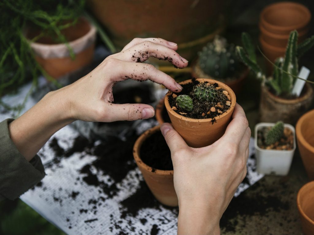 Eco tiendas, medio ambiente