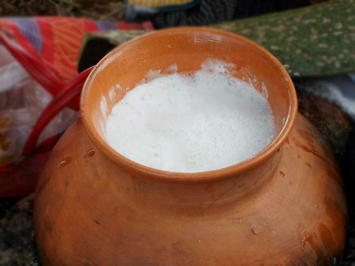 Feria del mezcal y la cerveza pulque