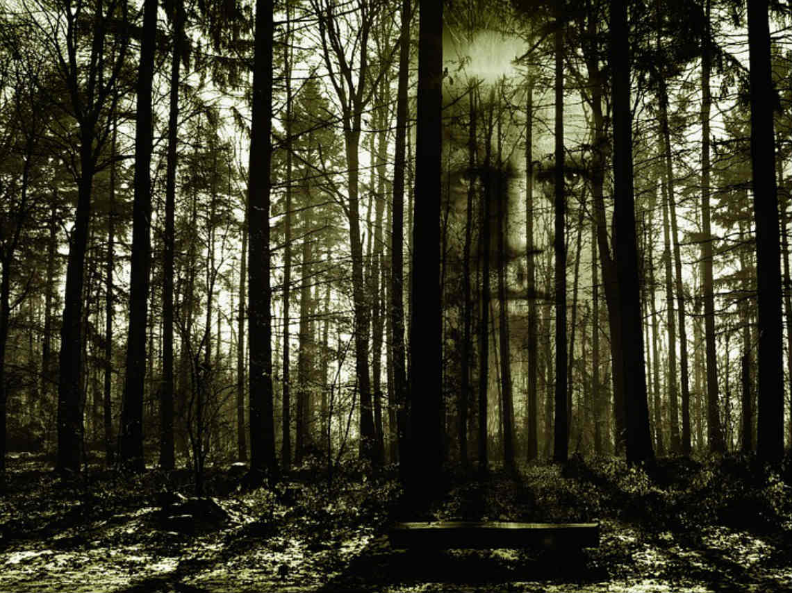 Noche de relatos de terror bosque