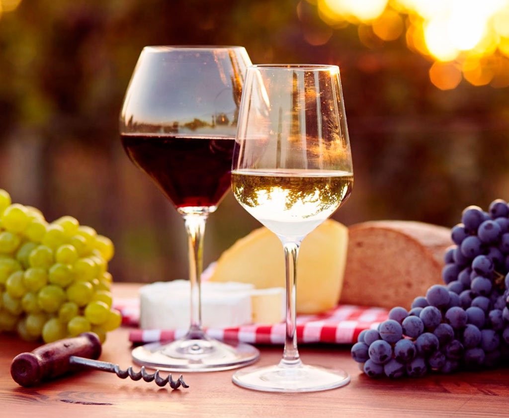 Festival de vinos de Francia ¡no te lo pierdas y celebra a lo grande!