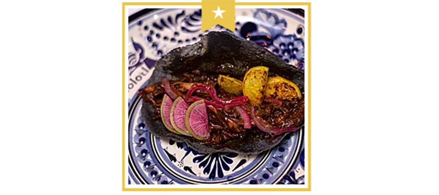 taco-pato-mr-xolotl-restaurante-tradicion-mexicana