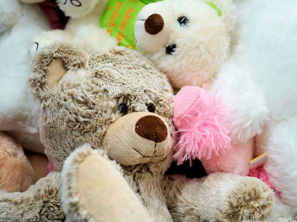 Carrera de Peluches en CDMX: ¡no te pierdas su primera edición!