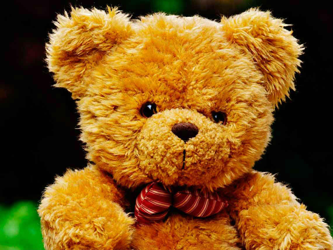 Carrera de Peluches osito con moño