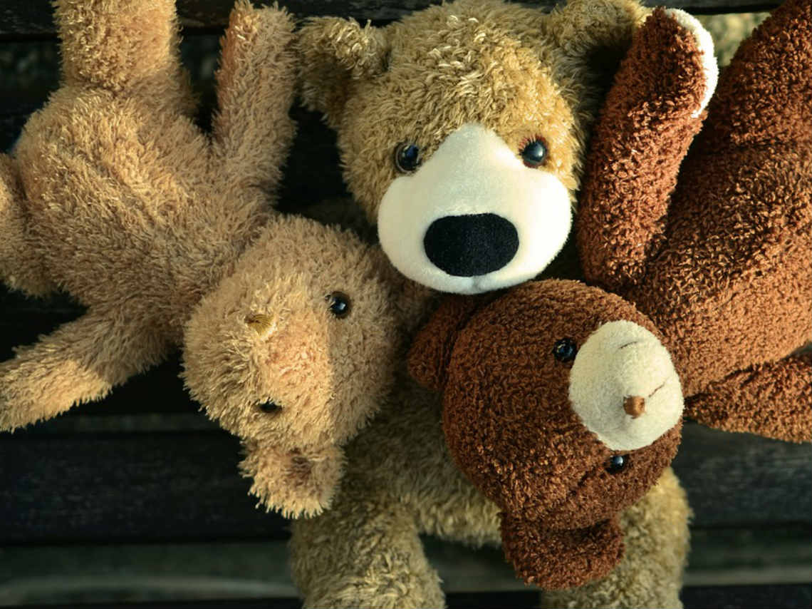 carrera-de-peluches-primera-edicion